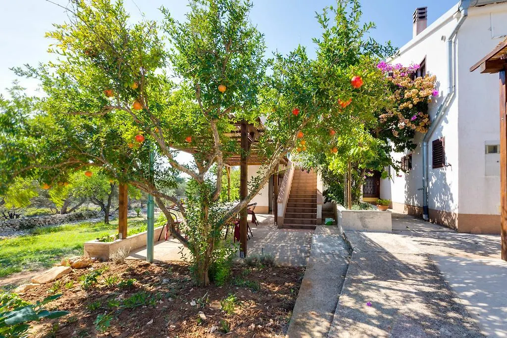 Eco Secluded Apartments Zabodarski Cunski