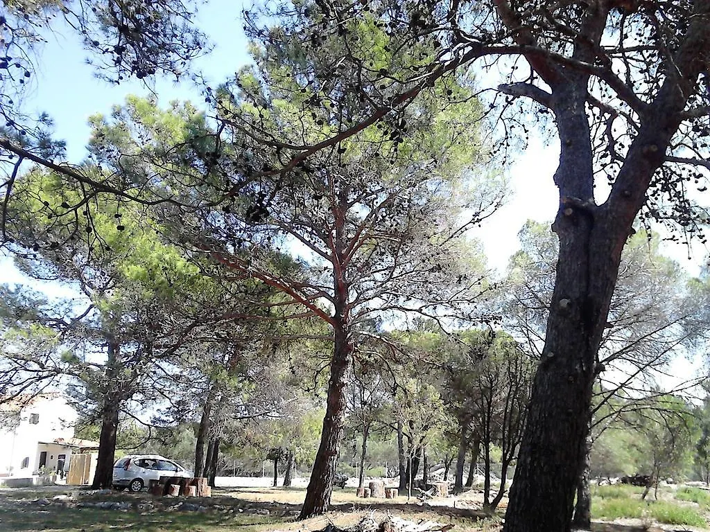 Eco Secluded Apartments Zabodarski contacts