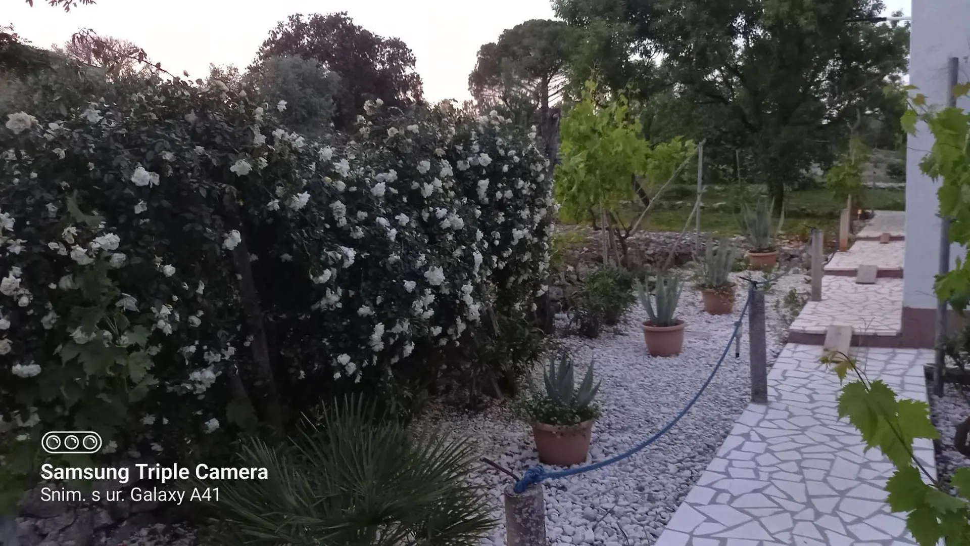 Eco Secluded Apartments Zabodarski Cunski Croatia