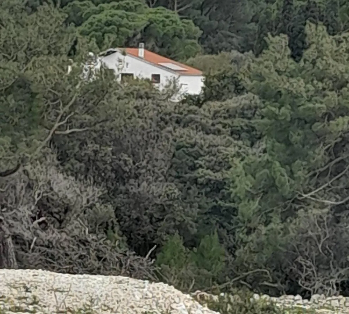 Eco Secluded Apartments Zabodarski Cunski