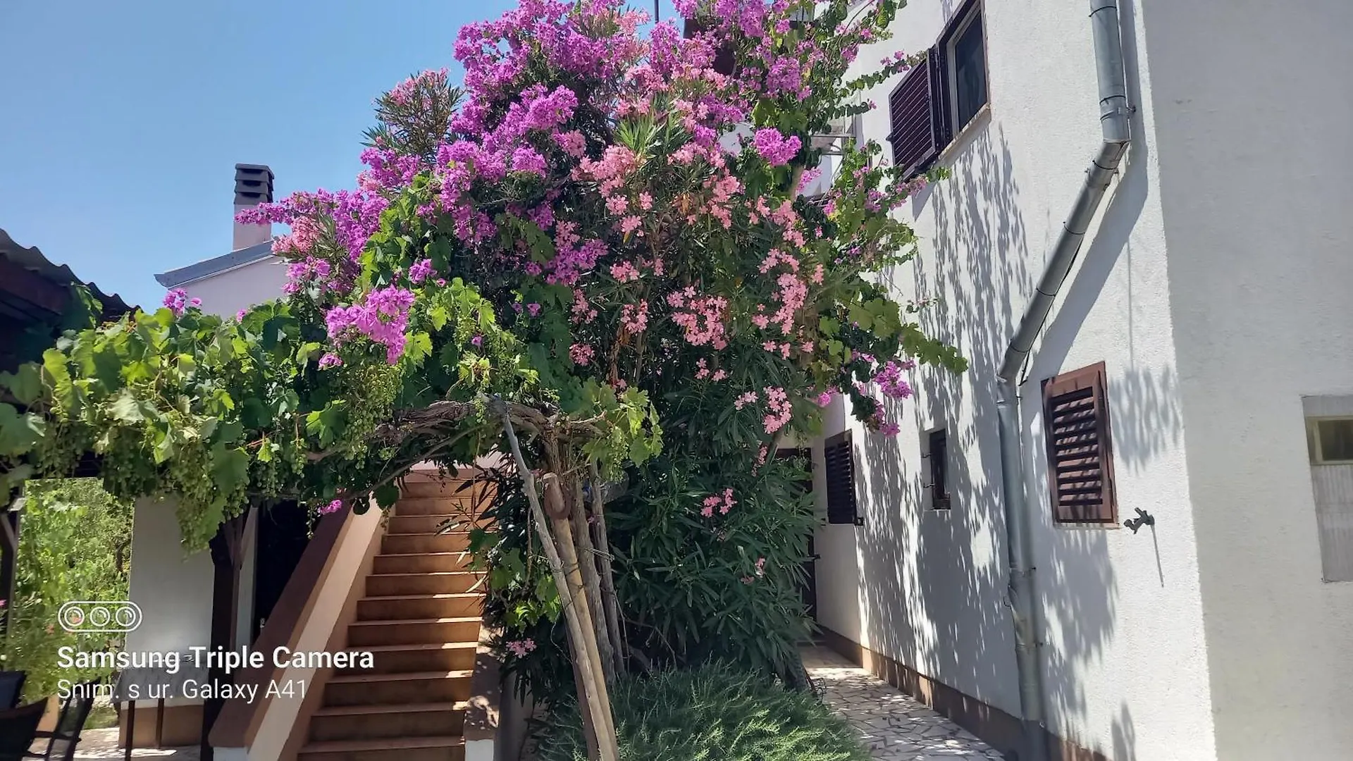 Eco Secluded Apartments Zabodarski Cunski